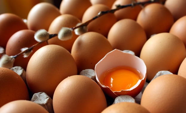 Изтеглят милиони яйца от продажба в Германия Холандия и Белгия