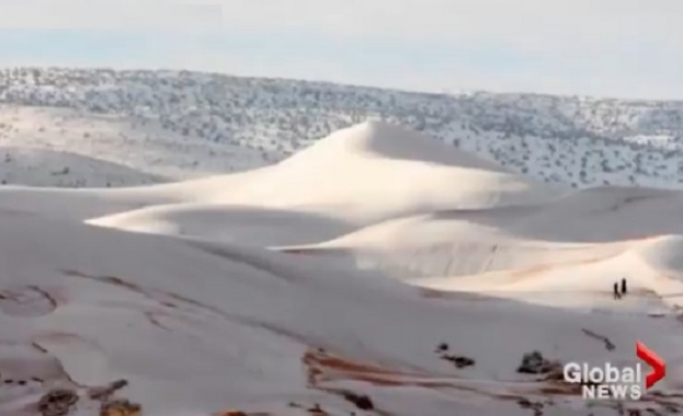 В пустинята Сахара отново заваля сняг, съобщи алжирския вестник ТСА.