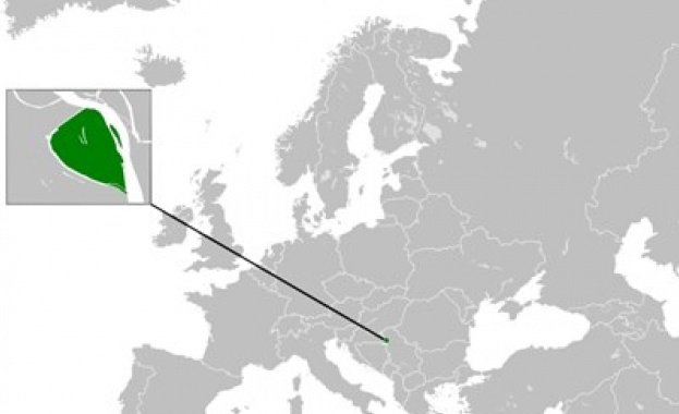 Самообявилата се минидържава Либерланд, основана от чеха Вит Йедличка на