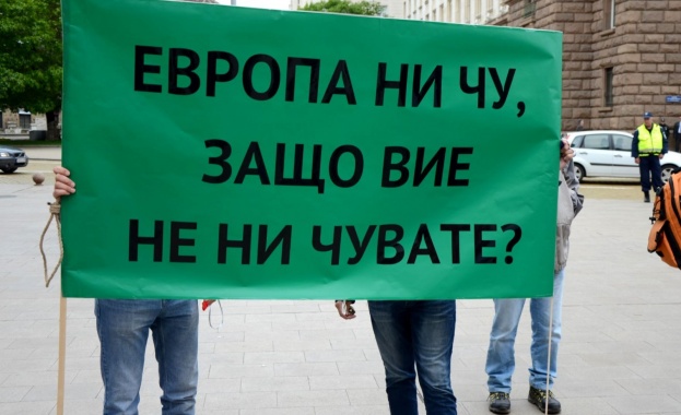 Протестиращи фотоволтаици настояха за оставките на енергийния министър Теменужка Петкова