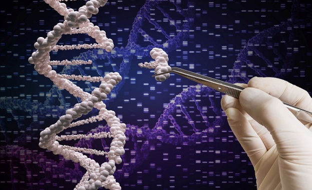 Учени извлякоха ДНК на трима души от дъвка на 10