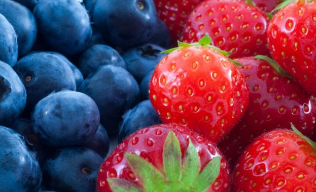 Диетолозите отдавна хвалят ягоди и боровинки за букета от микроелементи