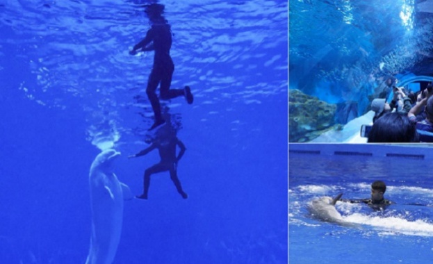 Първият в света аквариум разположен на височина над 2 2 хиляди