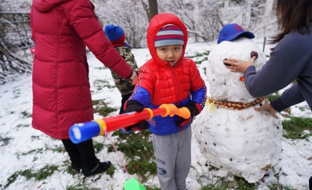 Първи сняг в Пекин за тази зима съобщава БГНЕС Снеговалежът