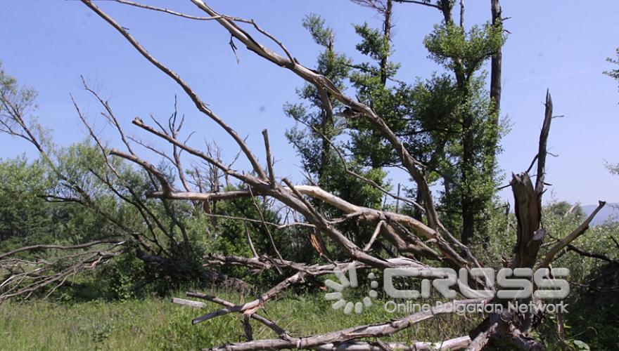 До една седмица се очаква да приключи операция “Горещо лято” по прочистване на района около поделението в Челопечене, информира Министерството на отбраната.
	