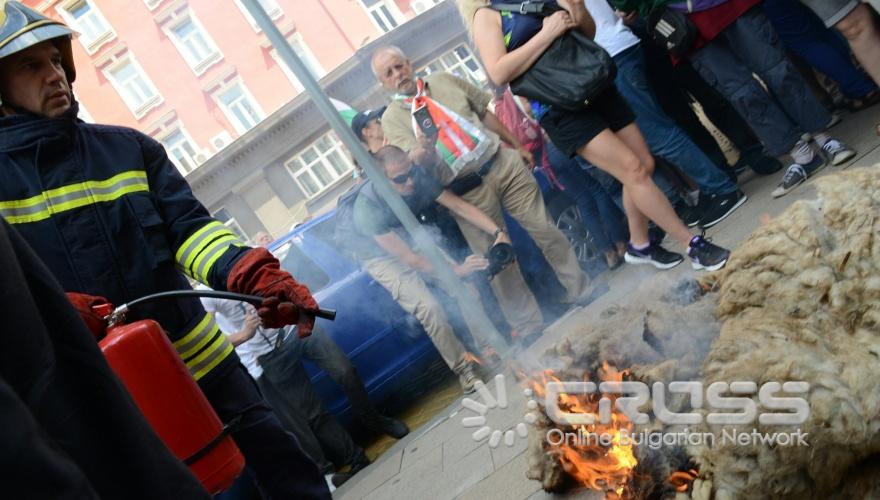 Протест на Животновъдите пред МС