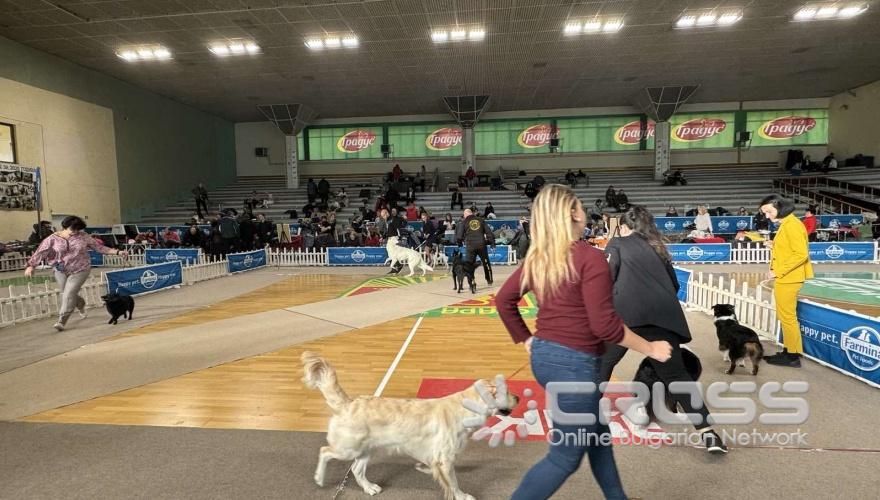 Стара Загора e домакин на престижна международна киноложка изложба 