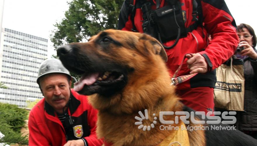 По повод Световния ден на Червения кръст и Червения полумесец, спасителни екипи на БЧК направиха демонстрация на действия за спасяване на хора от възникнал пожар след земетресение. Демонстрациите се проведоха от 10.30 часа, пред централата на БЧК (бул. Джеймс Баучер” 76). След демонстрациите в Музейната зала на БЧК се проведе традиционната пресконференция във връзка със Световния ден на Червения кръст и Червения полумесец.