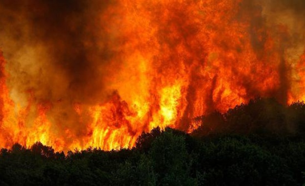 Потушени са пожарите край Копривщица, Лъки и Добралък