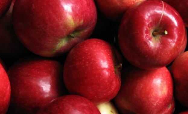 Ново изследване показва че консумацията на ябълки може да има
