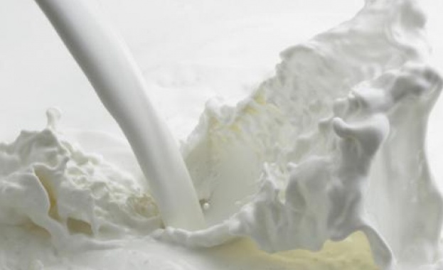 Масови проверки на търговията с мляко в Кюстендилско