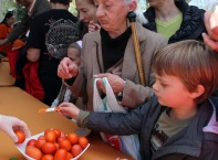  Бой с Великденски яйца