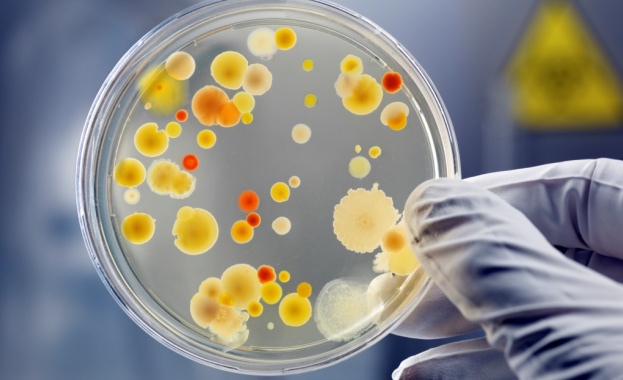 Откриха бактерии, резистентни на антибиотици 