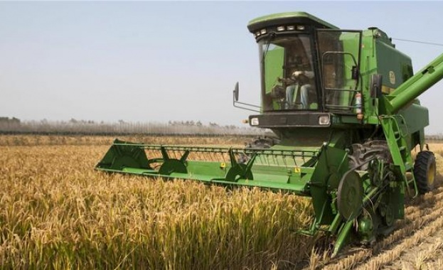 Производители в Плевенско притеснени за качеството на зърното 