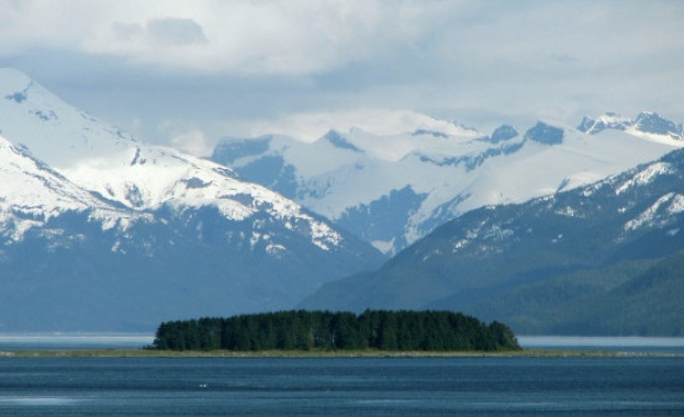 Популацията от бобри в Аляска и в други части на