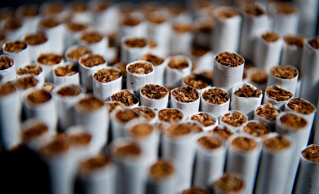 В Пловдив иззеха близо 74 000 къса контрабандни цигари 