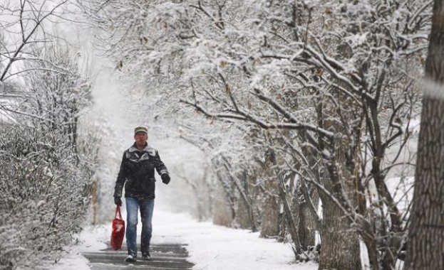 Издирват мъж, загубил се в снега на път за работа