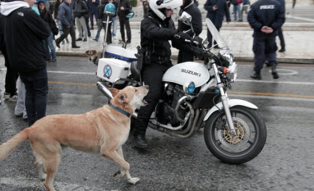 Почина световноизвестното куче-демонстрант "Луканикос"