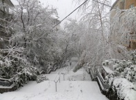 Сняг и порои блокираха България, „Булфото”