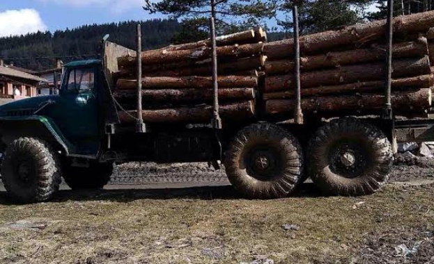 Износители на дървесина и транспортни фирми блокират пл. „Народно събрание" 