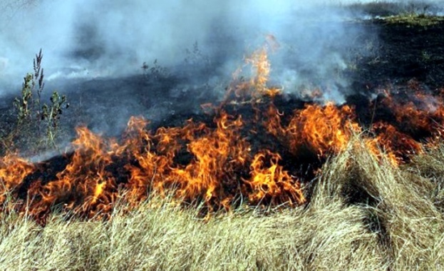 9 декара треви и храсти изгоряха край Симитли