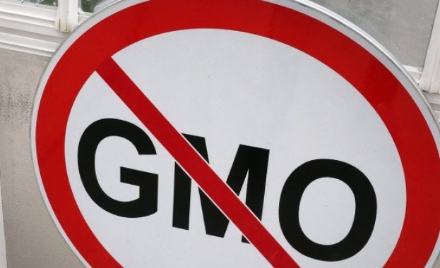 Дворкович: Русия няма да произвежда продукти с ГМО