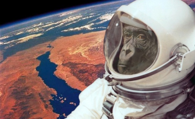 Русия ще изпрати на Марс четири маймуни