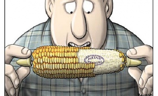 Русия забрани вноса на ГМО от САЩ