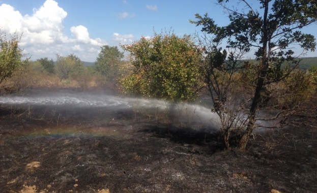 Пожар унищожи 1500 дка гори във Варненско