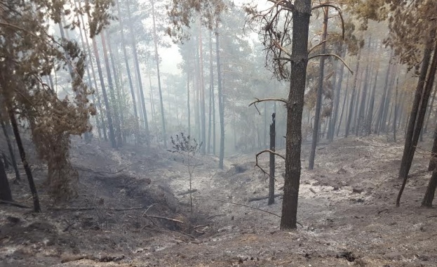 Пожар в природен парк в Испания