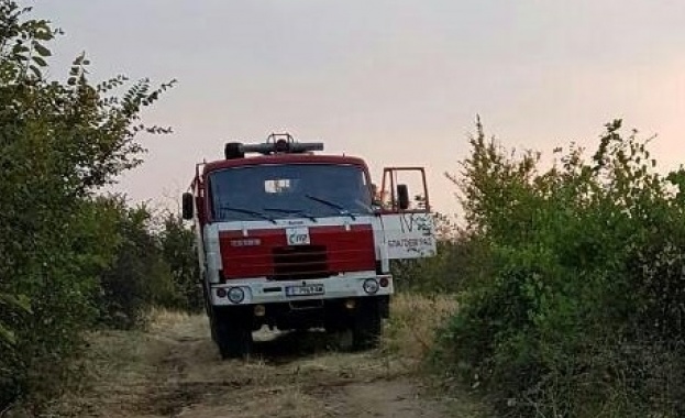 Отново избухна пожар в Петричко