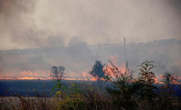 Пожарът край свиленградското село Лисово е локализиран