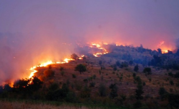 Пожарът в Хасковско се разраства, армията дойде на помощ