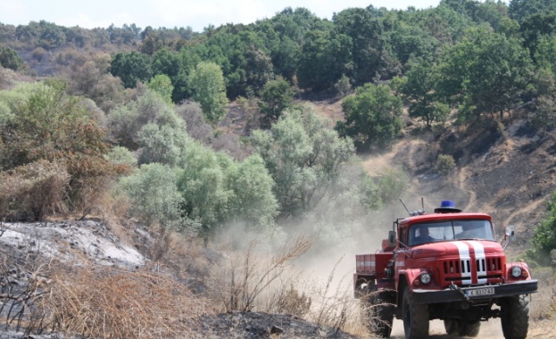 35 000 дка гори изгорели от началото на лятото