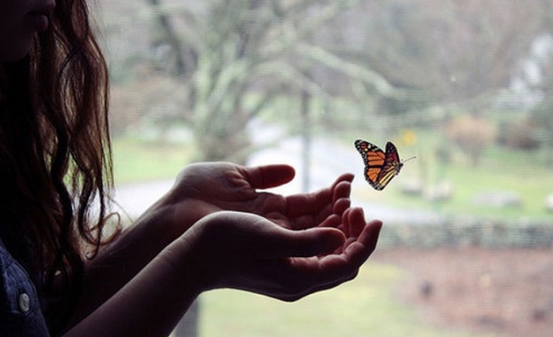 Щастието е като пеперуда Колкото повече го гоните толкова повече