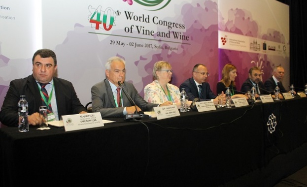 Порожанов: Лозаро-винарският сектор е водещ за земеделието в България