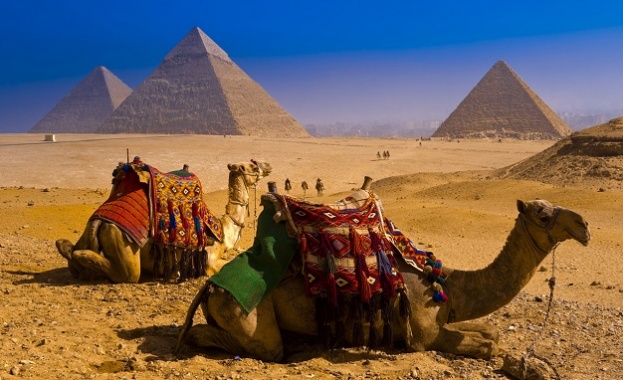 Приходите от туризъм в Египет са достигнали 13,6 милиарда долара за година
