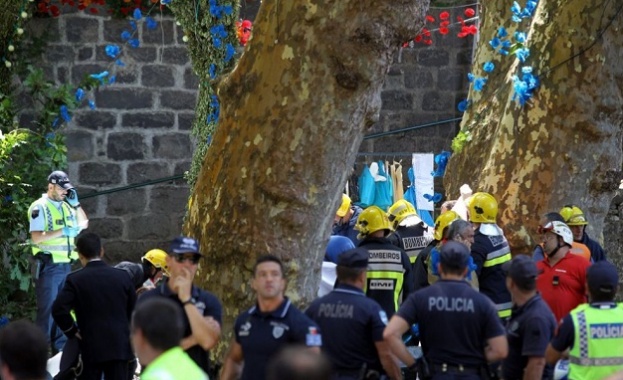 11 убити и 35 ранени при инцидент с дърво в Португалия 