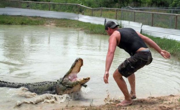 Наводнението в Тексас може да освободи 350 алигатора 