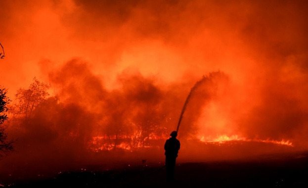 180 хиляди души се евакуират заради пожари в Калифорния