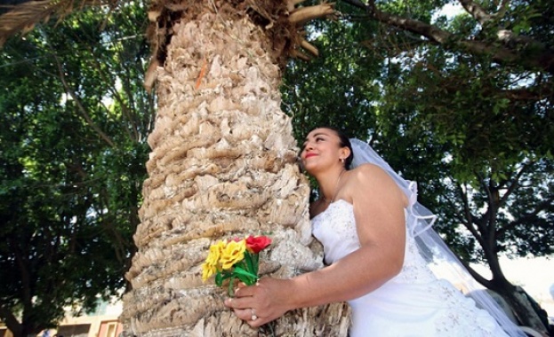 Мексиканките масово се омъжват за дървета