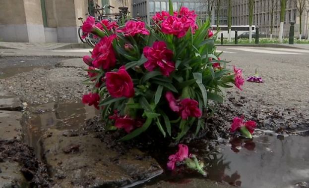 Мъж "ремонтира" дупки по улиците в Брюксел с цветя