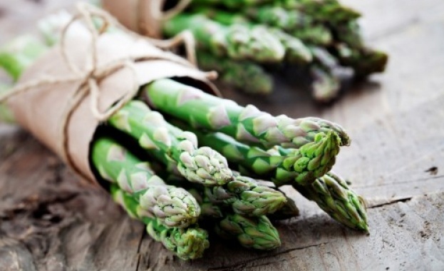 Кралският зеленчук - аспержата, се завръща на българския пазар, макар
