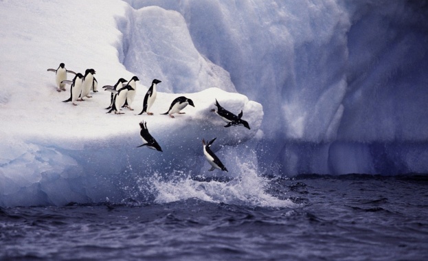 Учени съобщават за първа регистрирана топлинна вълна в Антарктида като