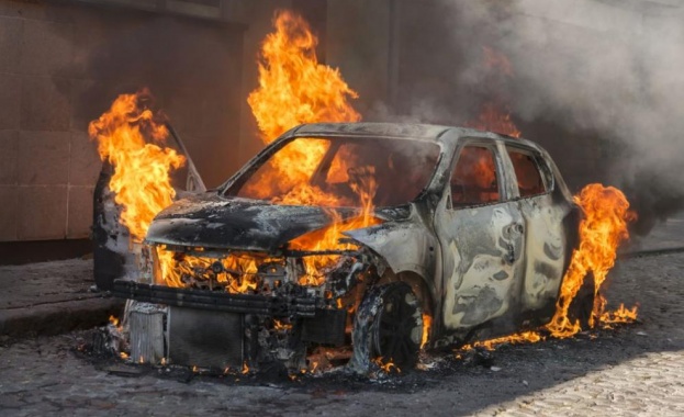 60 коли изгорени от неизвестни в Страсбург, мъж загина от пиротехника 