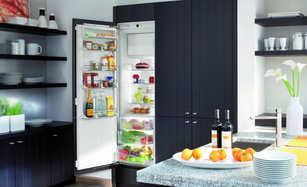 Един от най важните когато домакински уреди е хладилникът тъй като