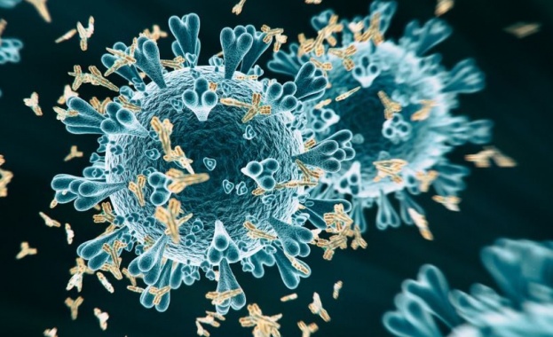 147 са новите случаи на коронавирус у нас. Направени са