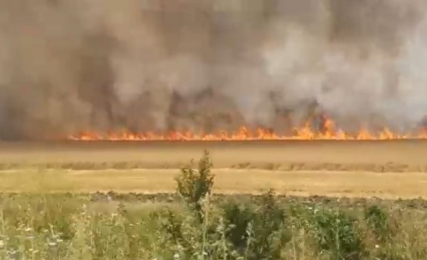 Голям пожар бушува край автомагистрала Тракия в района на Стара
