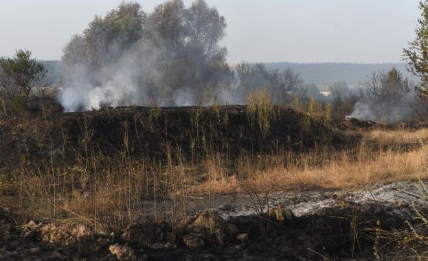 Прокуратурата разследва смъртта на двамата горски служители, загинали в пожара край Сандански
