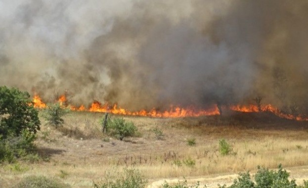 Пожарът в Рила планина е овладян но борбата за пълното